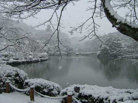 薬師池公園の冬景色